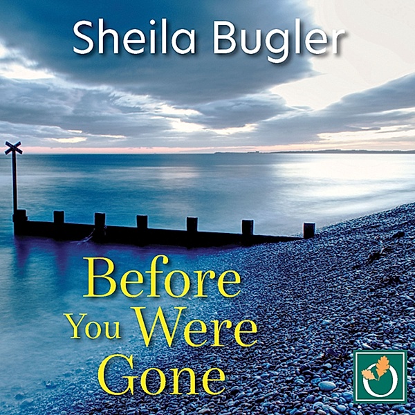 Dee Doran - 3 - Before You Were Gone, Sheila Bugler