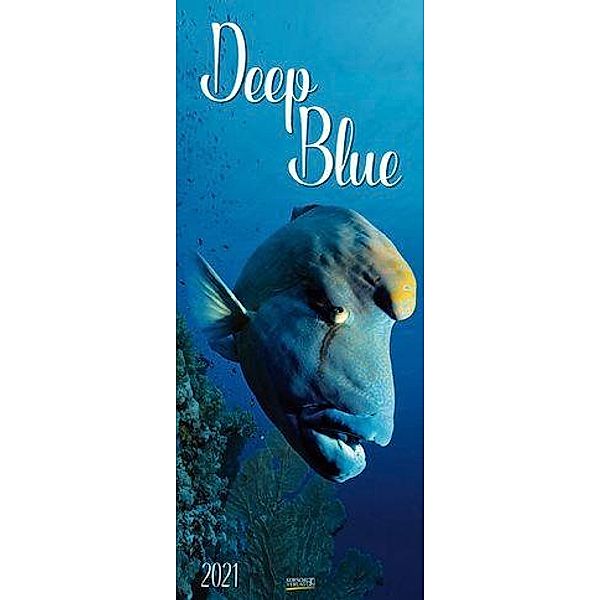 Deep Blue 2021