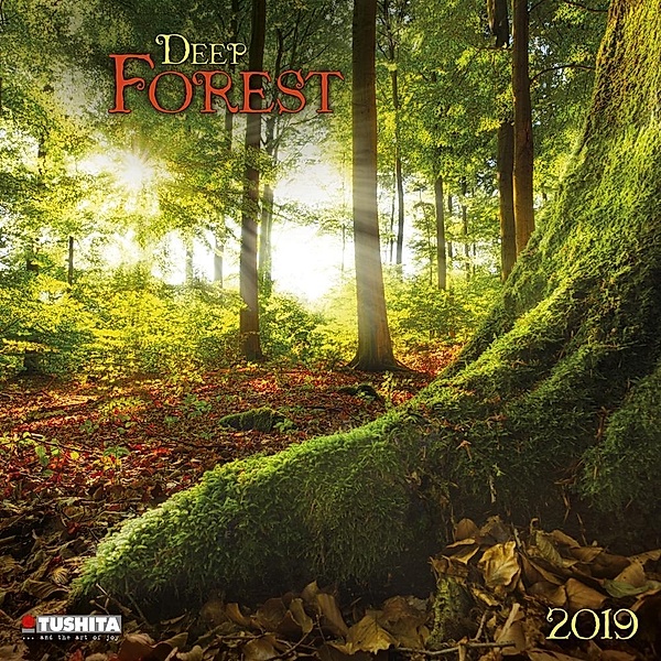 Deep Forest 2019
