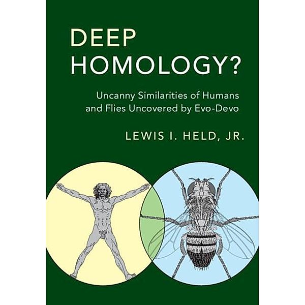 Deep Homology?, Jr Lewis I. Held