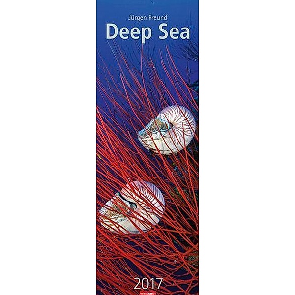 Deep Sea 2017, Jürgen Freund