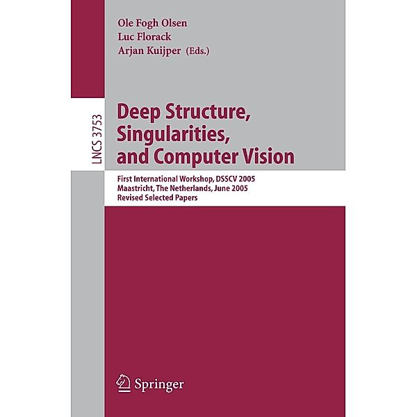 Deep Structure, Singularities, and Computer Vision / Lecture Notes in Computer Science Bd.3753