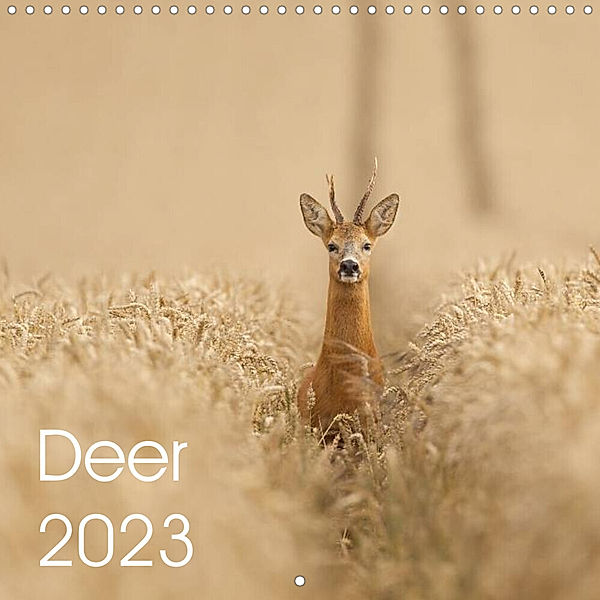 Deer 2023 (Wall Calendar 2023 300 × 300 mm Square), mark bridger