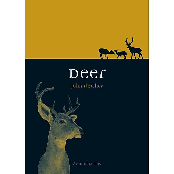 Deer / Animal, Fletcher John Fletcher