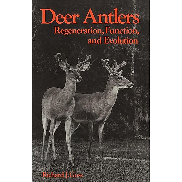Deer Antlers, Richard J. Goss