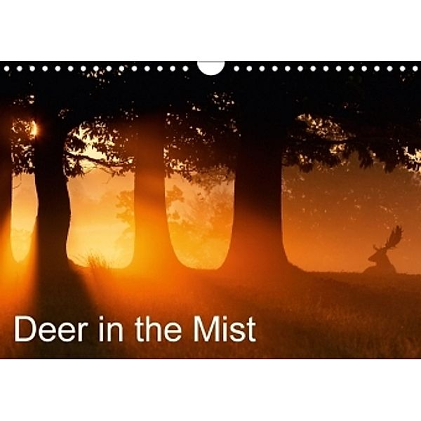 Deer in the Mist (Wall Calendar 2017 DIN A4 Landscape), Mark Bridger