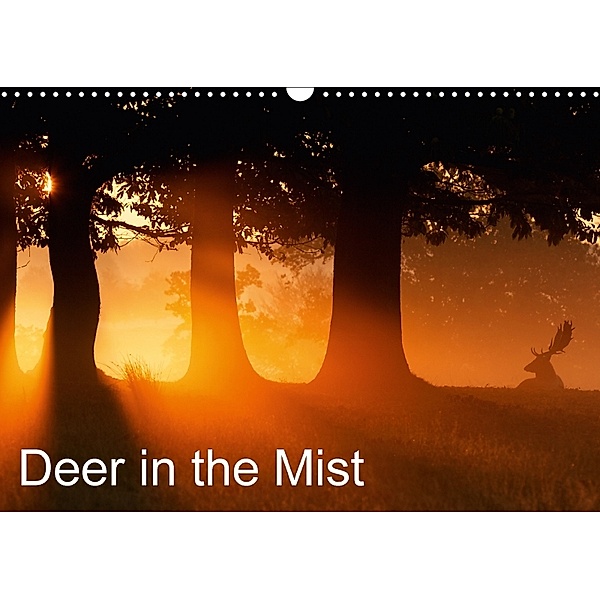 Deer in the Mist (Wall Calendar 2018 DIN A3 Landscape), mark bridger
