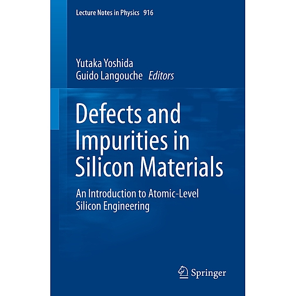 Defects and Impurities in Silicon Materials, Yutaka Yoshida, Guido Langouche