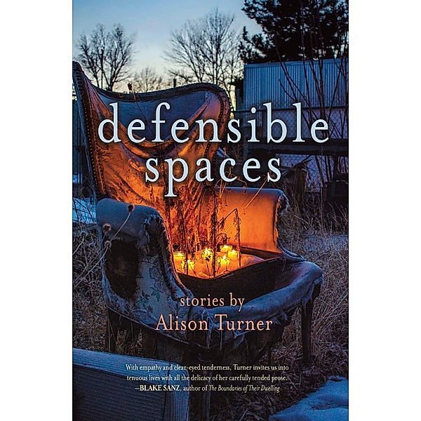 Defensible Spaces, Alison Turner