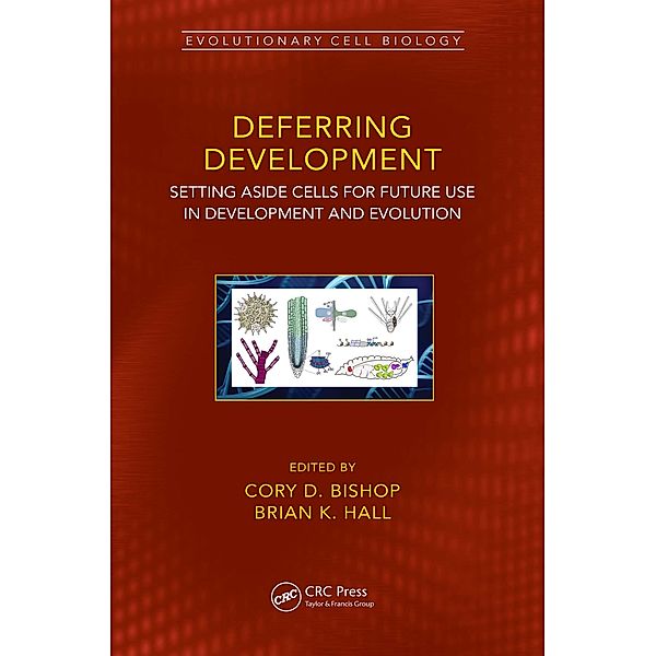 Deferring Development