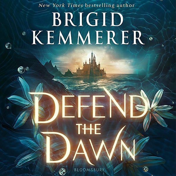 Defy the Night - Defend the Dawn, Brigid Kemmerer