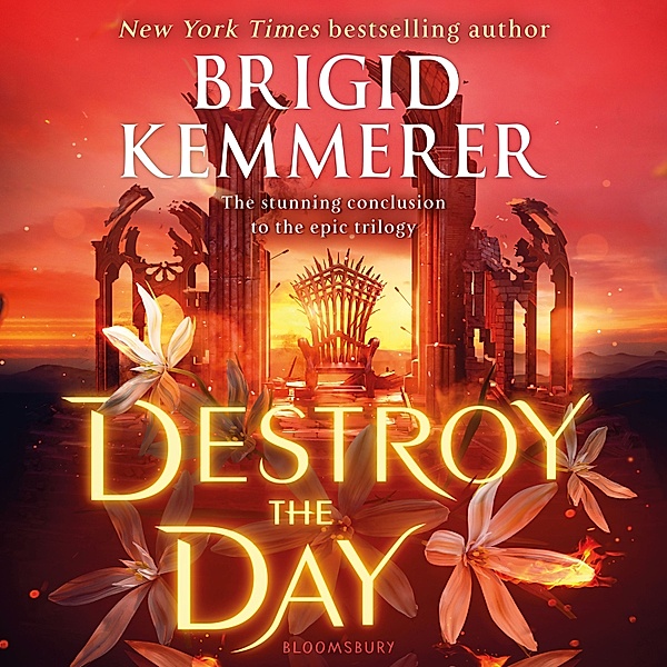 Defy the Night - Destroy the Day, Brigid Kemmerer