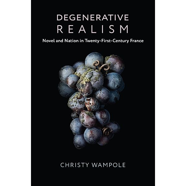 Degenerative Realism / Literature Now, Christy Wampole