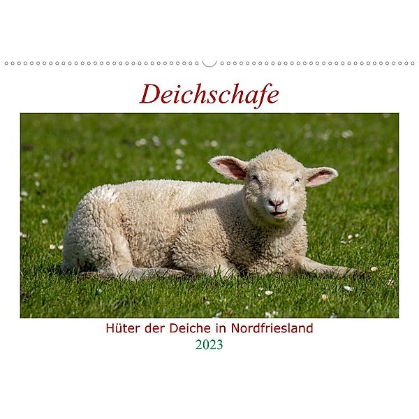 Deichschafe - Hüter der Deiche in Nordfriesland (Wandkalender 2023 DIN A2 quer), Manuela Falke