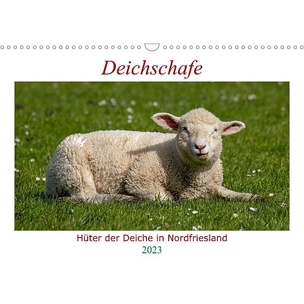 Deichschafe - Hüter der Deiche in Nordfriesland (Wandkalender 2023 DIN A3 quer), Manuela Falke