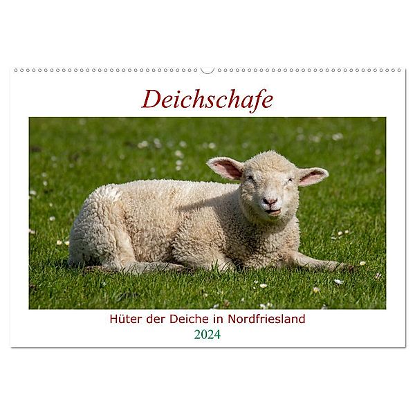 Deichschafe - Hüter der Deiche in Nordfriesland (Wandkalender 2024 DIN A2 quer), CALVENDO Monatskalender, Manuela Falke