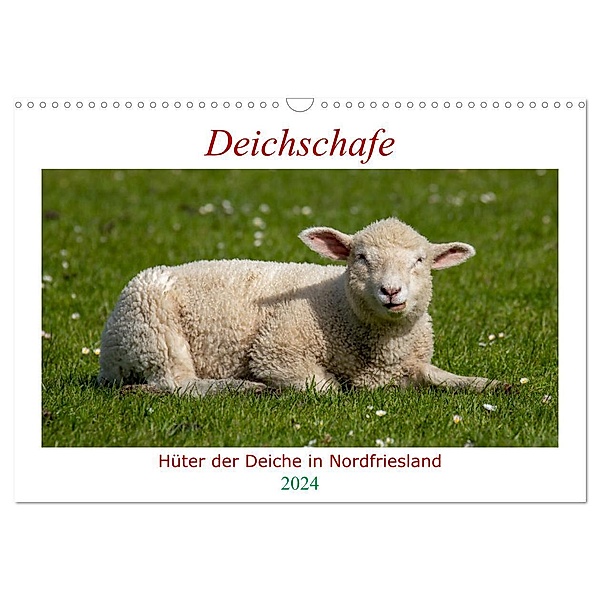 Deichschafe - Hüter der Deiche in Nordfriesland (Wandkalender 2024 DIN A3 quer), CALVENDO Monatskalender, Manuela Falke