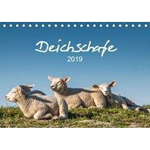 Deichschafe (Tischkalender 2019 DIN A5 quer), Stephan Giesers