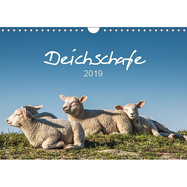 Deichschafe (Wandkalender 2019 DIN A4 quer), Stephan Giesers