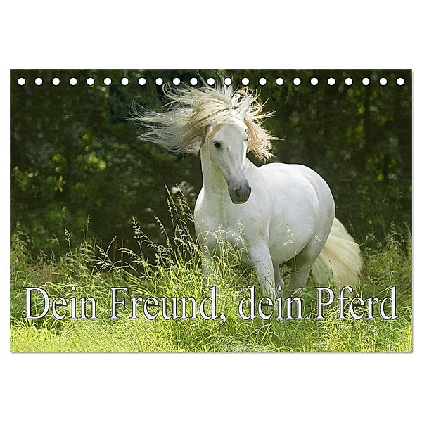 Dein Freund, dein Pferd (Tischkalender 2025 DIN A5 quer), CALVENDO Monatskalender, Calvendo, Erika Müller