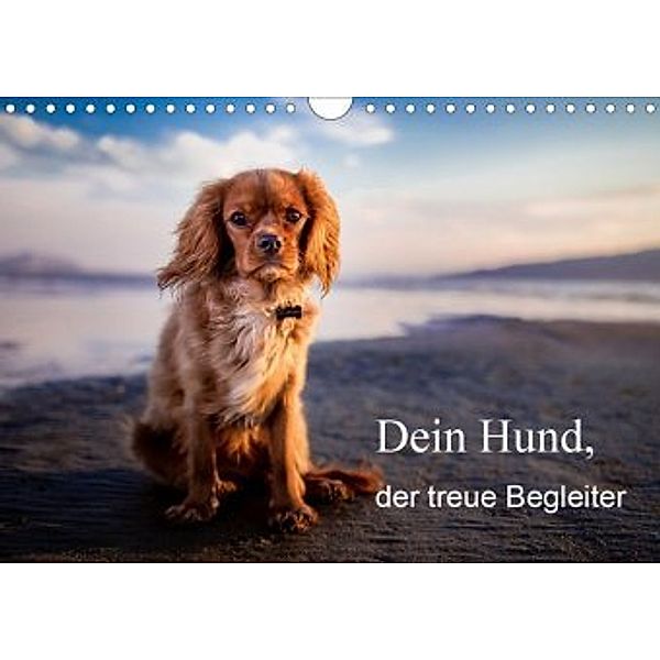 Dein Hund der treue Begleiter (Wandkalender 2020 DIN A4 quer), Frank Gayde