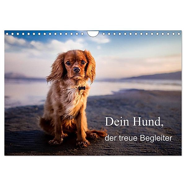 Dein Hund der treue Begleiter (Wandkalender 2024 DIN A4 quer), CALVENDO Monatskalender, Frank Gayde