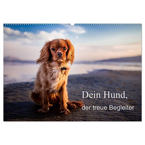 Dein Hund der treue Begleiter (Wandkalender 2024 DIN A2 quer), CALVENDO Monatskalender, Frank Gayde