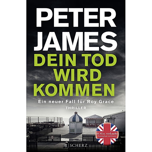 Dein Tod wird kommen / Roy Grace Bd.11, Peter James