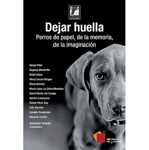 Dejar huella, Sergio Pitol, Orfa Alarcón, Eusebio Ruvalcaba, Eduardo Cerdán, Ángeles Mastretta, Naief Yehya, Alicia García Bergua, Mario Bellatin, María Luisa Mendoza, David Martín del Campo, Sandra Lorenzano, Rafael Pérez Gay