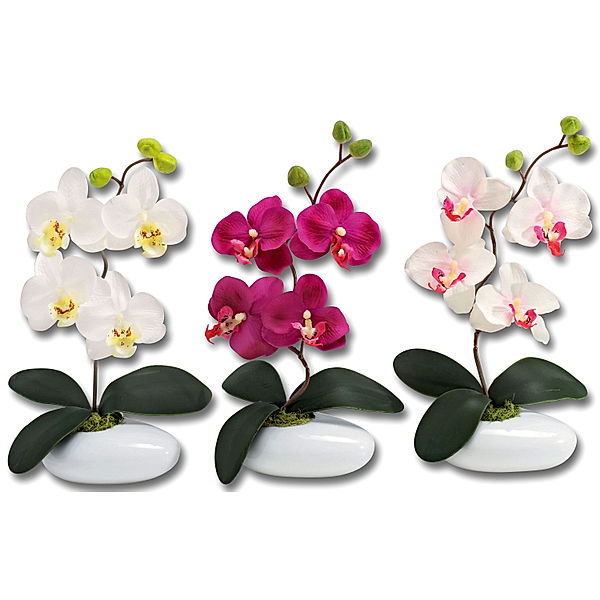 Deko-Orchidee, 3er-Set