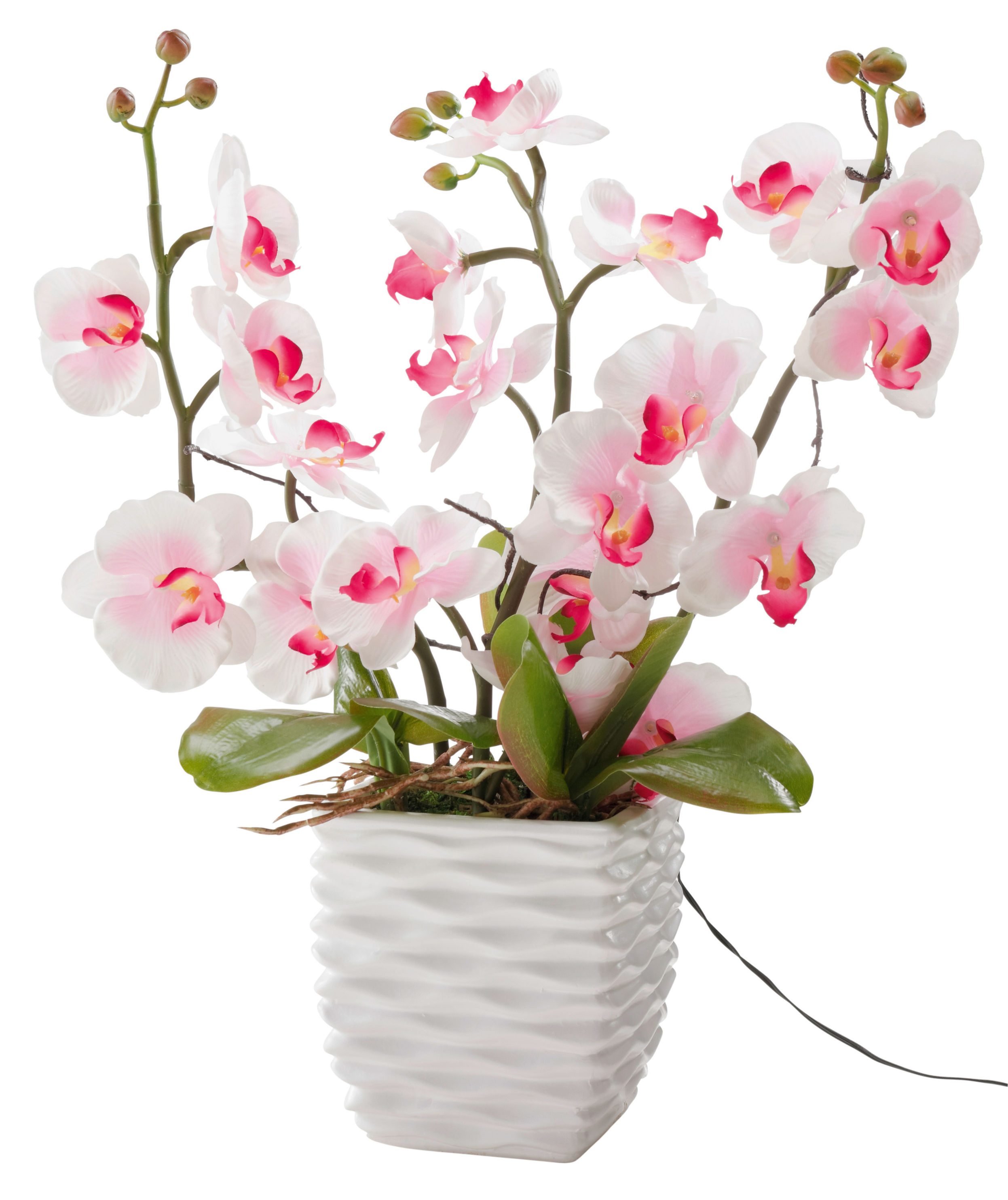 Deko-Orchidee mit LEDs jetzt bei Weltbild.de bestellen
