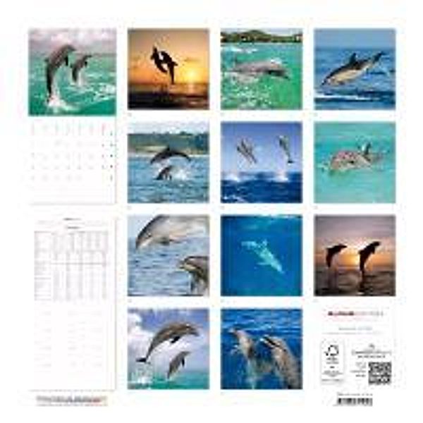 Delfine 2014 Broschürenkalender