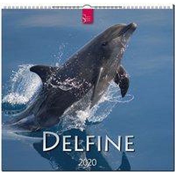 Delfine 2020