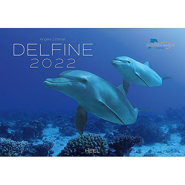 Delfine 2022