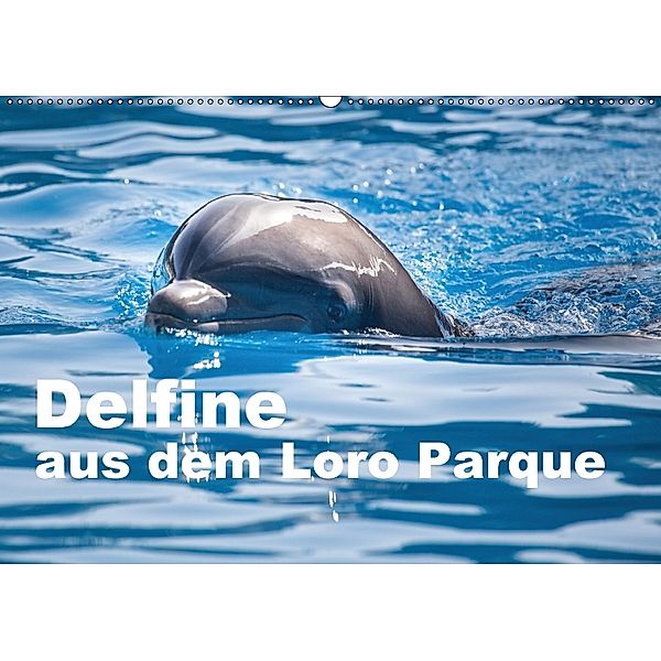 Delfine aus dem Loro Parque (Wandkalender 2018 DIN A2 quer), Ulrich Brodde