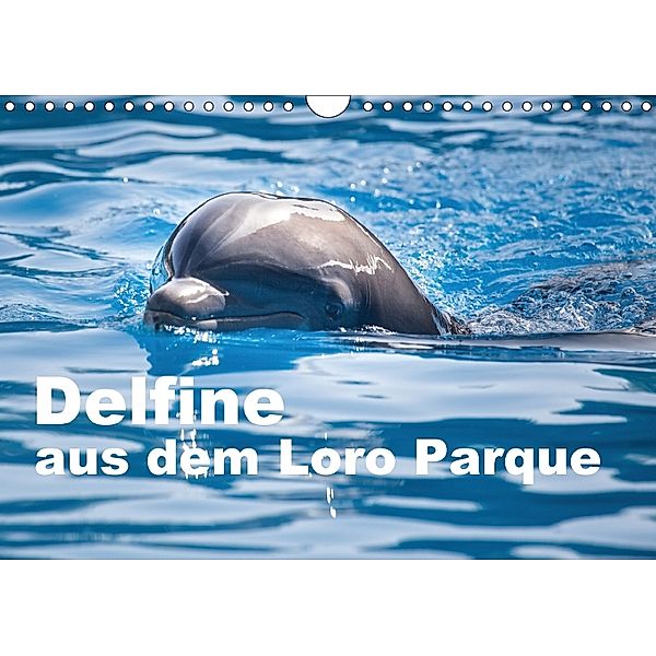 Delfine aus dem Loro Parque (Wandkalender 2018 DIN A4 quer), Ulrich Brodde