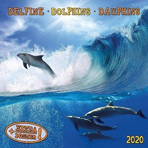 Delfine - Dolphins - Dauphins 2020
