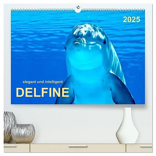 Delfine - elegant und intelligent (hochwertiger Premium Wandkalender 2025 DIN A2 quer), Kunstdruck in Hochglanz, Calvendo, Peter Roder