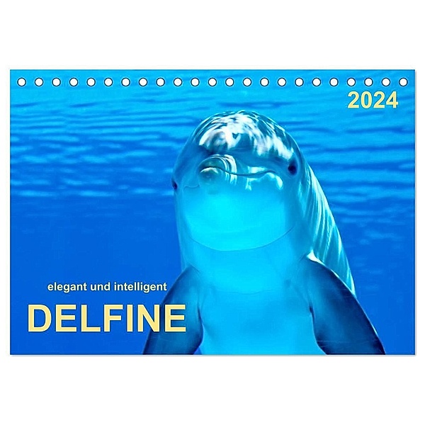 Delfine - elegant und intelligent (Tischkalender 2024 DIN A5 quer), CALVENDO Monatskalender, Peter Roder