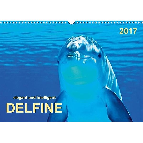 Delfine - elegant und intelligent (Wandkalender 2017 DIN A3 quer), Peter Roder