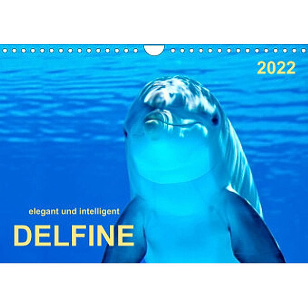 Delfine - elegant und intelligent (Wandkalender 2022 DIN A4 quer), Peter Roder