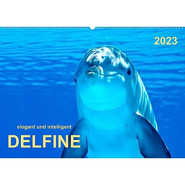 Delfine - elegant und intelligent (Wandkalender 2023 DIN A2 quer), Peter Roder