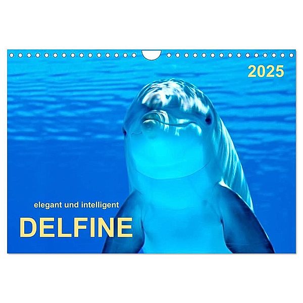 Delfine - elegant und intelligent (Wandkalender 2025 DIN A4 quer), CALVENDO Monatskalender, Calvendo, Peter Roder