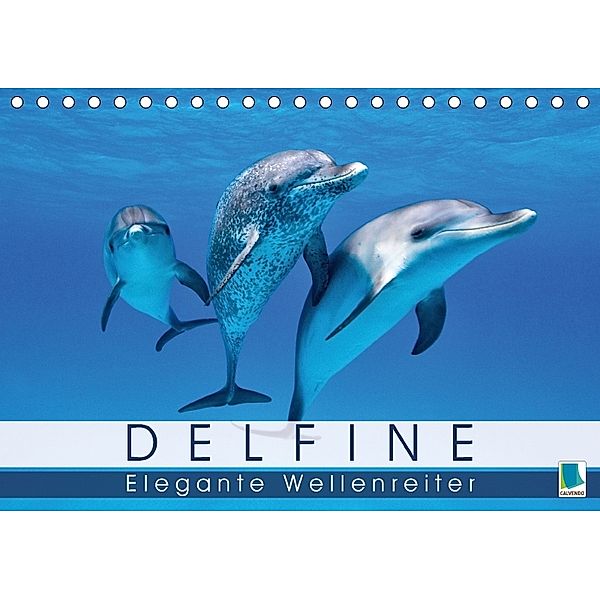 Delfine: Elegante Wellenreiter (Tischkalender 2018 DIN A5 quer), Calvendo