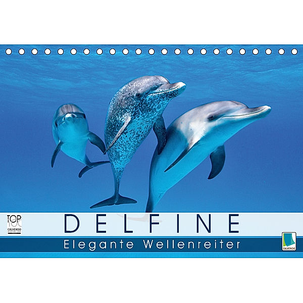 Delfine: Elegante Wellenreiter (Tischkalender 2019 DIN A5 quer), Calvendo