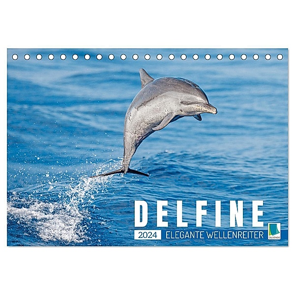 Delfine: Elegante Wellenreiter (Tischkalender 2024 DIN A5 quer), CALVENDO Monatskalender, Calvendo