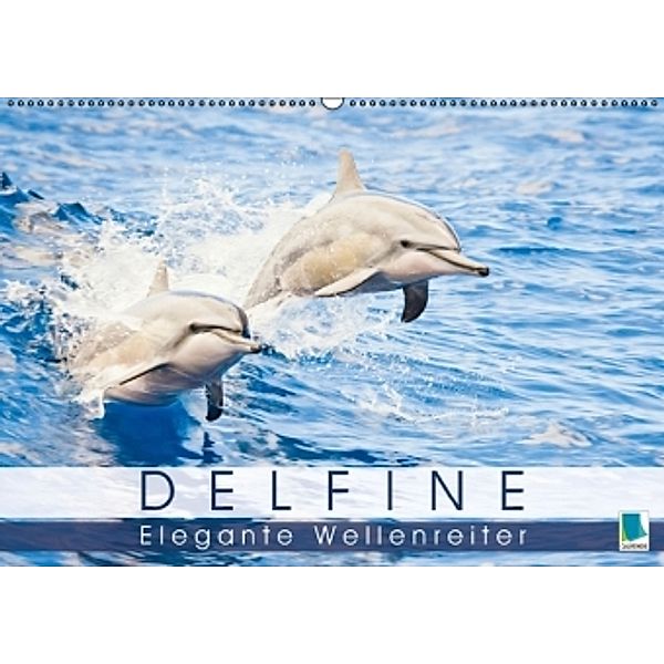 Delfine: Elegante Wellenreiter (Wandkalender 2016 DIN A2 quer), Calvendo