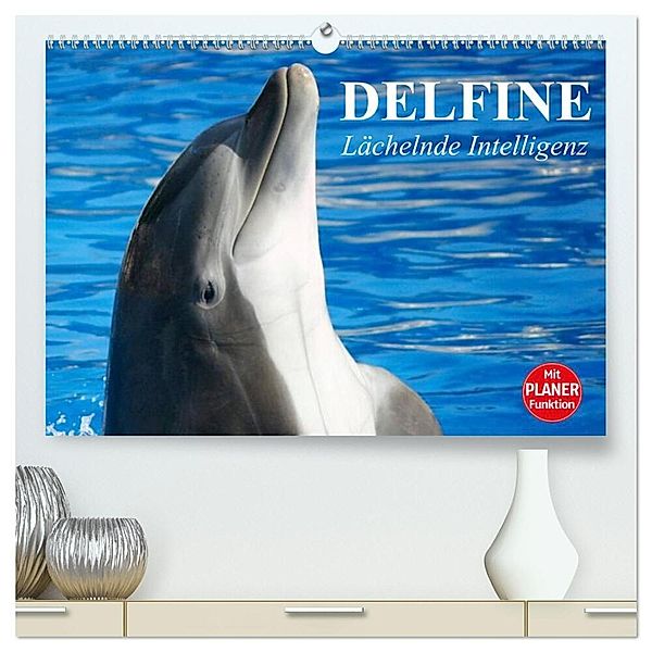 Delfine - Lächelnde Intelligenz (hochwertiger Premium Wandkalender 2024 DIN A2 quer), Kunstdruck in Hochglanz, Elisabeth Stanzer