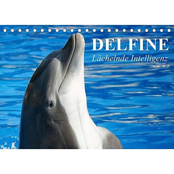 Delfine - Lächelnde Intelligenz (Tischkalender 2023 DIN A5 quer), Elisabeth Stanzer