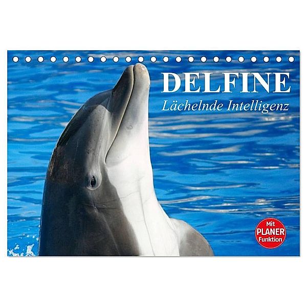 Delfine - Lächelnde Intelligenz (Tischkalender 2025 DIN A5 quer), CALVENDO Monatskalender, Calvendo, Elisabeth Stanzer